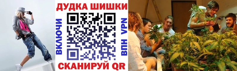 Купить наркотики сайты Волжский КОКАИН  МЕГА как войти  Конопля  Гашиш 