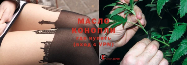 гидра Богданович