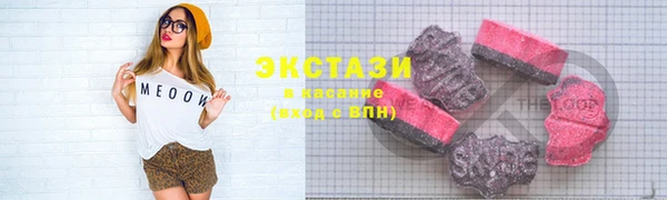 гидра Богданович