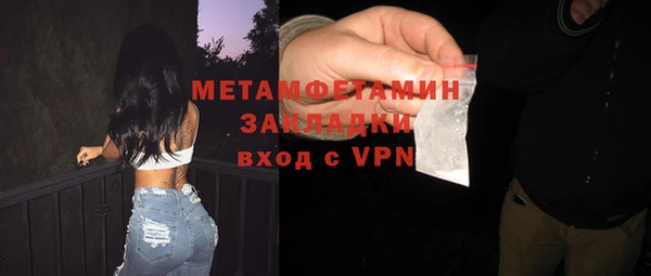 гидра Богданович