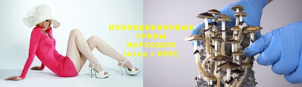 гидра Богданович