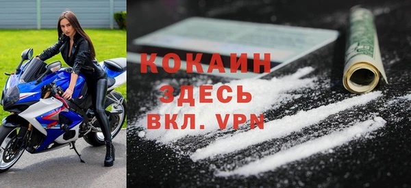 гидра Богданович