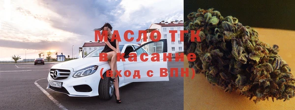 гидра Богданович