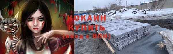 гидра Богданович